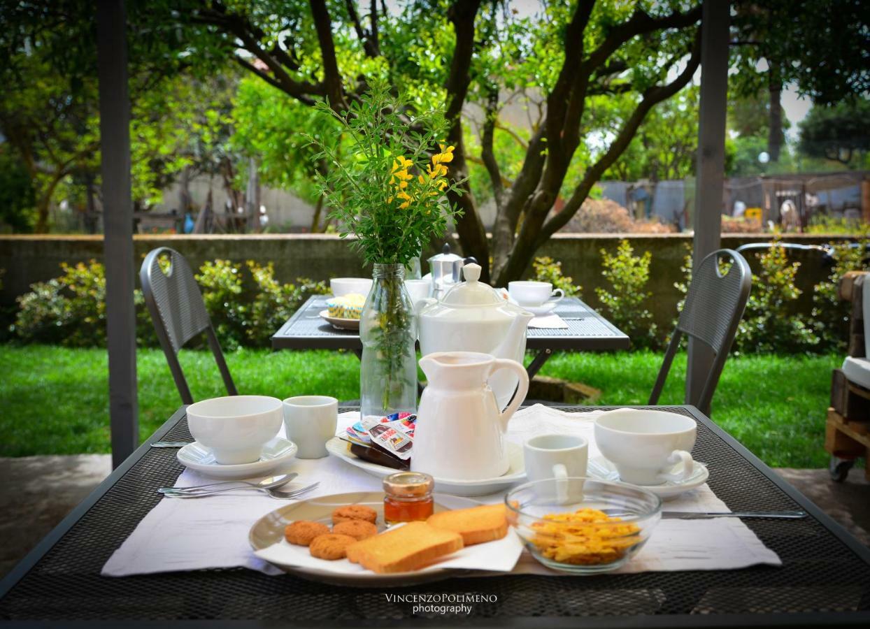 Trecase B&B Le Ginestre المظهر الخارجي الصورة